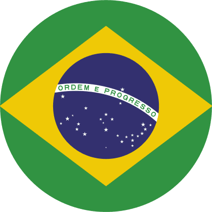 Brazil Flag Icon