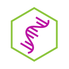 Gene therapy Molecule