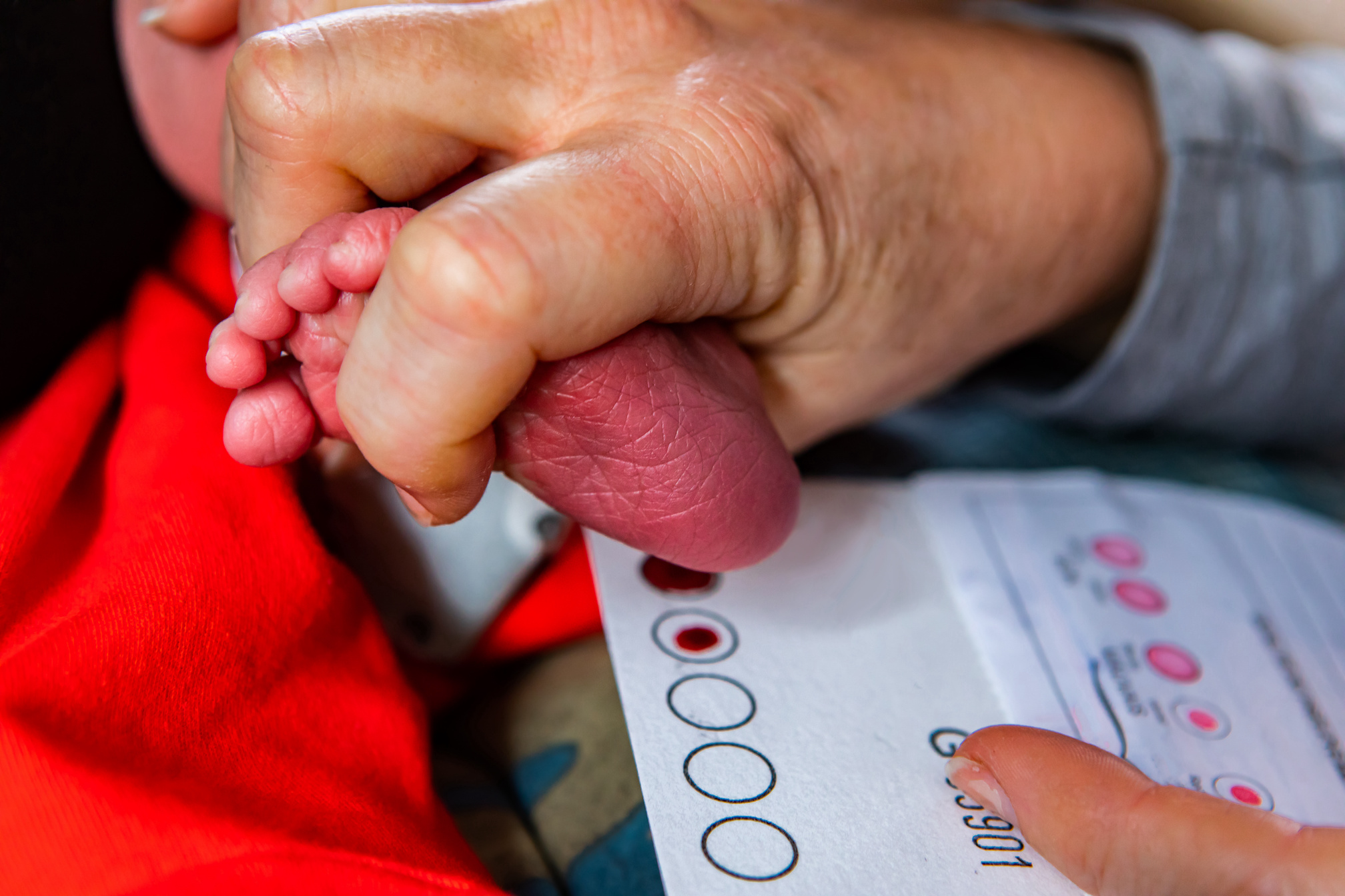Close-up image of doctor performing a heel prick blood test for newborn screening