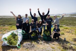 Ultragenyx team members participating in our 2025 Global Days of Service activity in Novato, CA.
