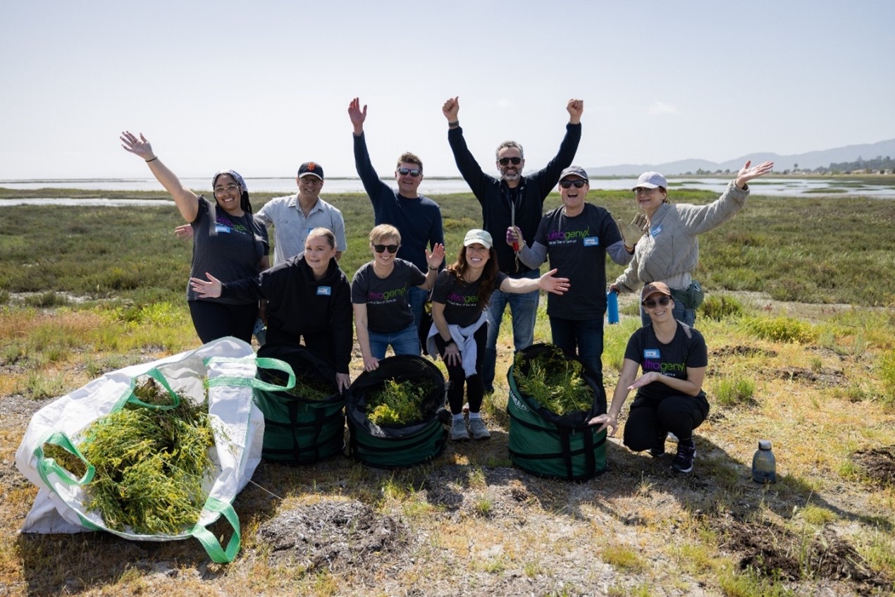 Ultragenyx team members participating in our 2025 Global Days of Service activity in Novato, CA.