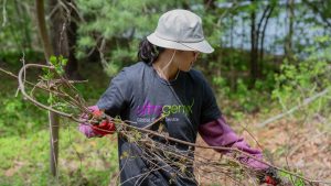 Ultragenyx team members participating in our 2025 Global Days of Service activity in Massachusetts