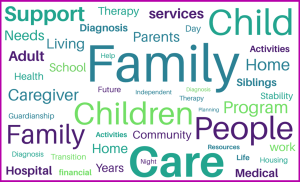 The language of Angelman syndrome caregivers reveals the competing priorities families often deal with, including issues of guardianship, housing, finance, medical support, and overall stability.
